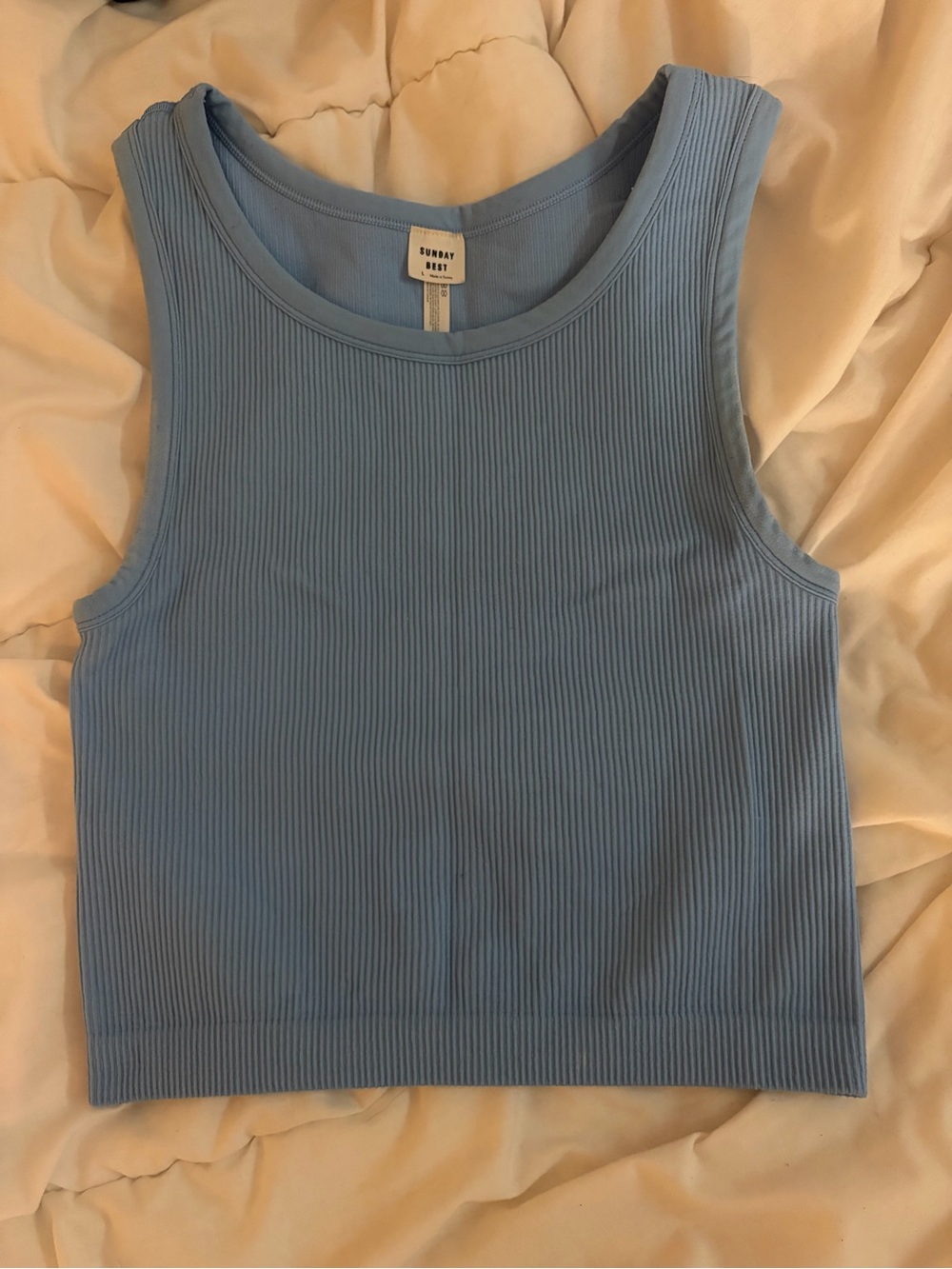 Aritzia Sunday Best Tank